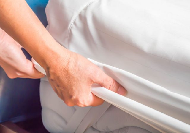 Ácaros, enemigos de un hogar saludable. Conócelos y sácalos de tu casa