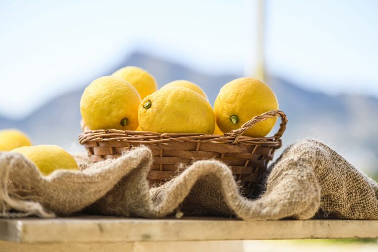 Tres recetas con limón para lucirte esta Navidad ante familiares y amigos