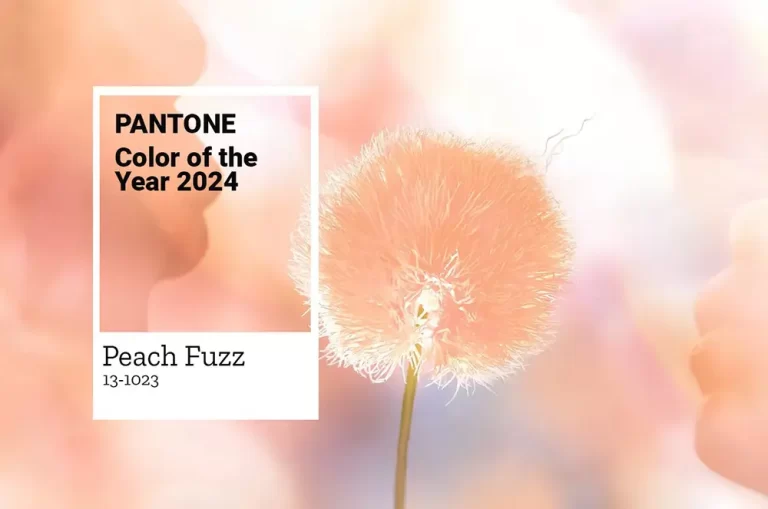 Peach Fuzz: El color del Año 2024 según Pantone