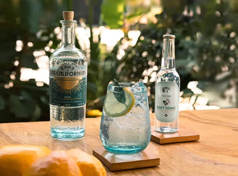 Celebra la primavera con dos diferentes versiones de Gin & Tonic que te encantarán